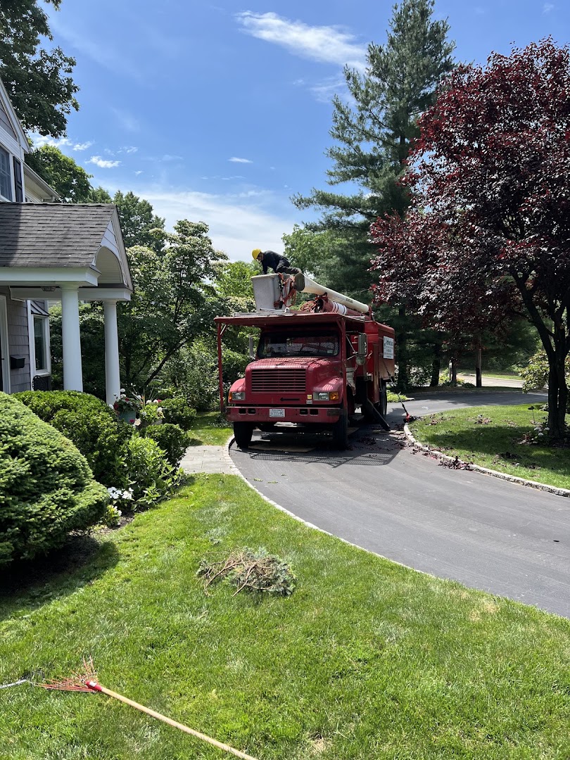 Plantings — Glen Cove