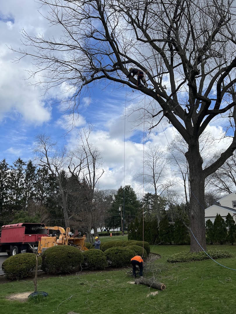 Recent project — Glen Cove